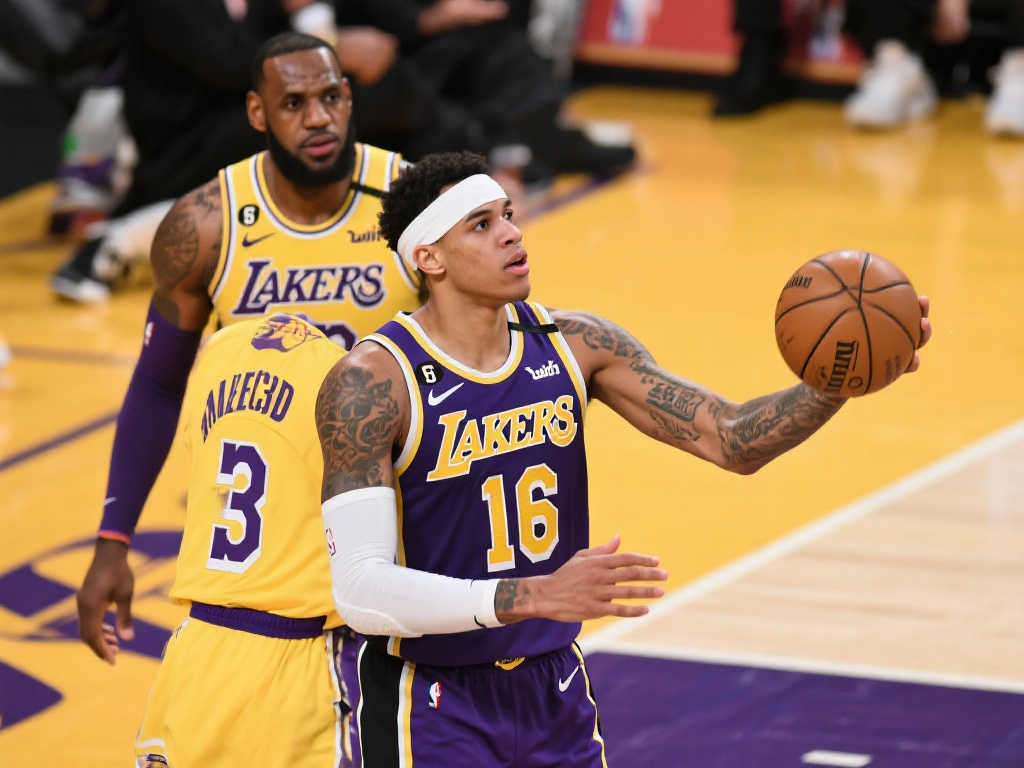 自由与平衡 自由与平衡